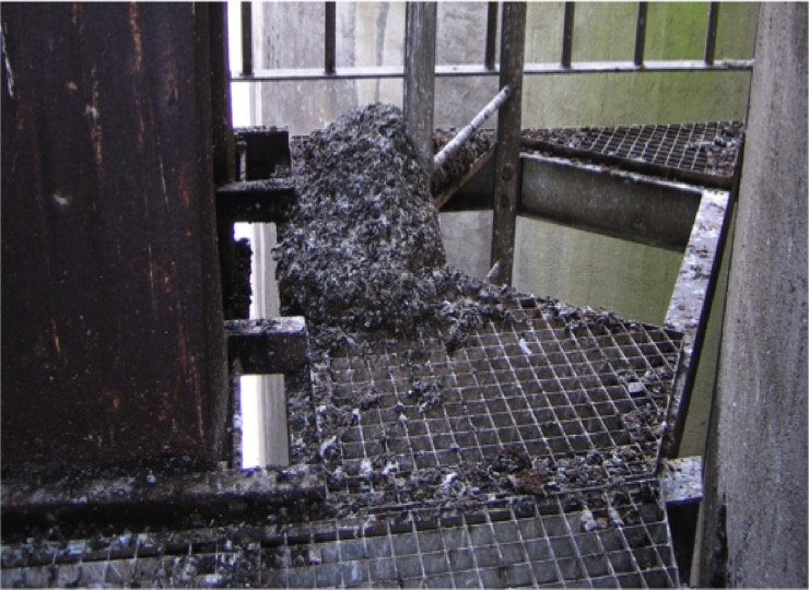 duiven kusters bird control