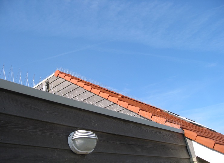 Zoutelande 013
