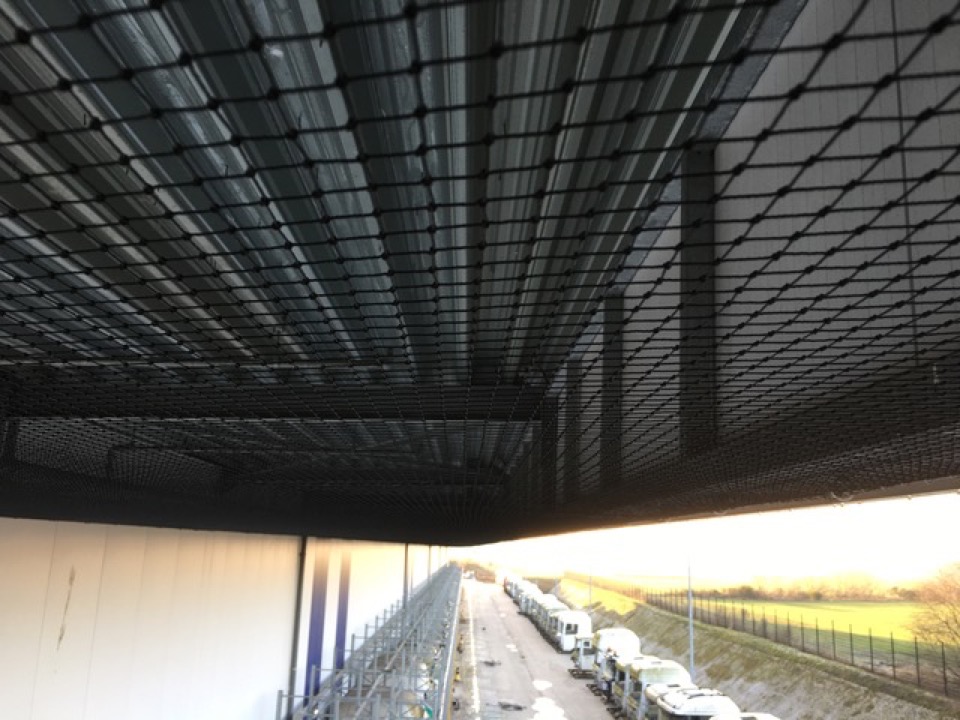  1731 Kusters Bird Control