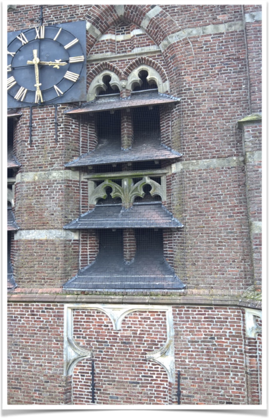 Pasted Graphic 1