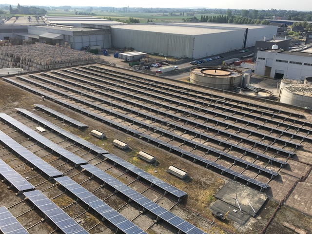 Kusters vogeloverlast1700128