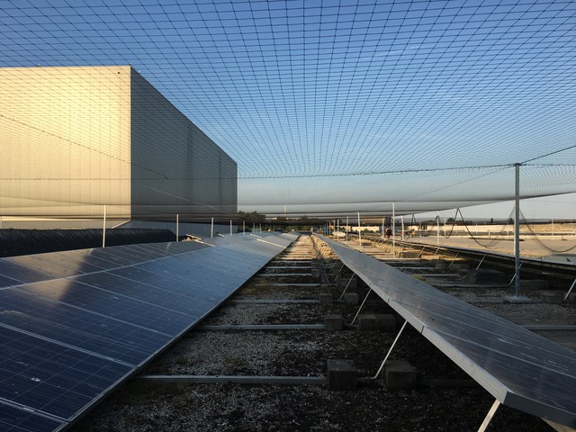 Kusters vogeloverlast170026