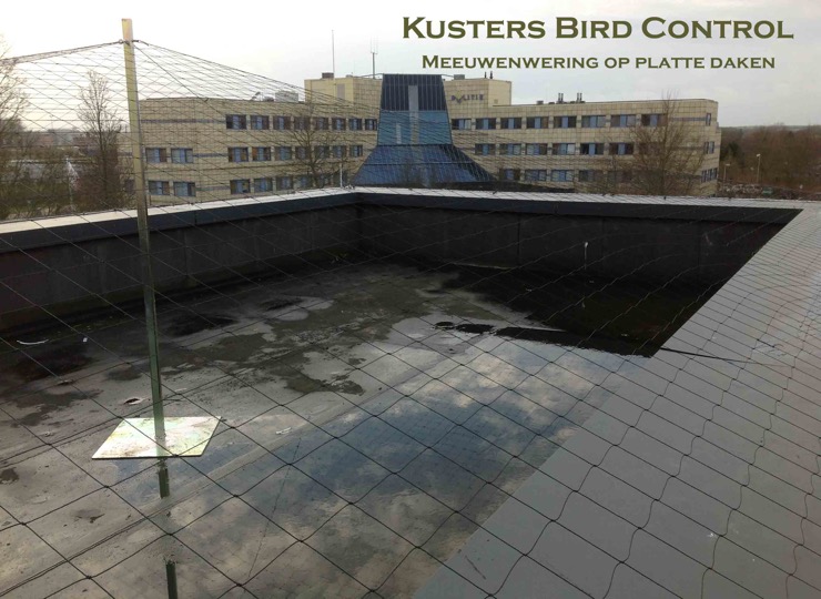 meeuwen wering net kusters bird control 15