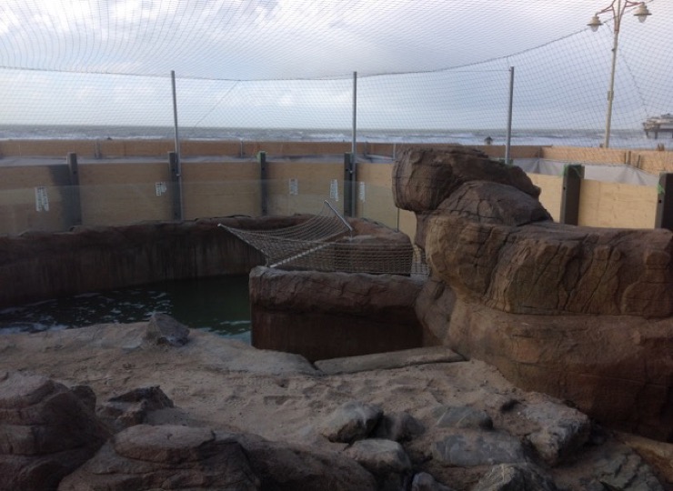 sealife 3