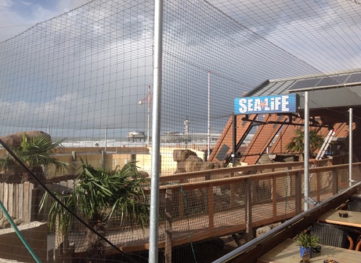 Sealife